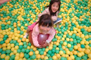パラグライダーとは何かを確認できます