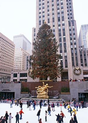 2025年最新版：石垣島でレンタカーを最大限に楽しむための完全ガイド