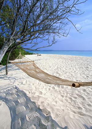 家族で楽しむ石垣島アクティビティ完全ガイド！子供も大満足の体験を徹底紹介