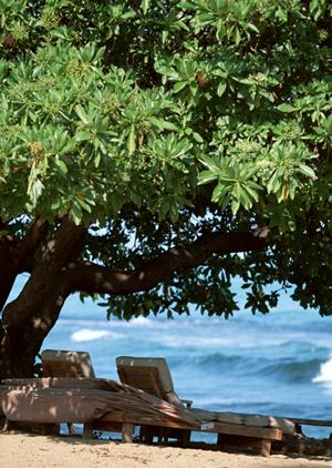 【2026年最新版】那須レジャー施設徹底ガイド：家族で楽しむ最旬スポットとおすすめプラン